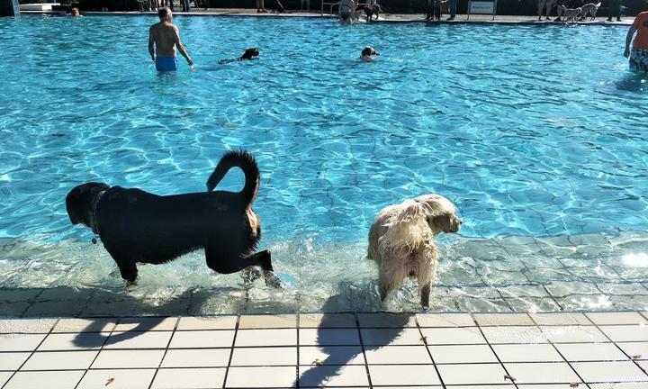 Zum Hallenfreizeitbad